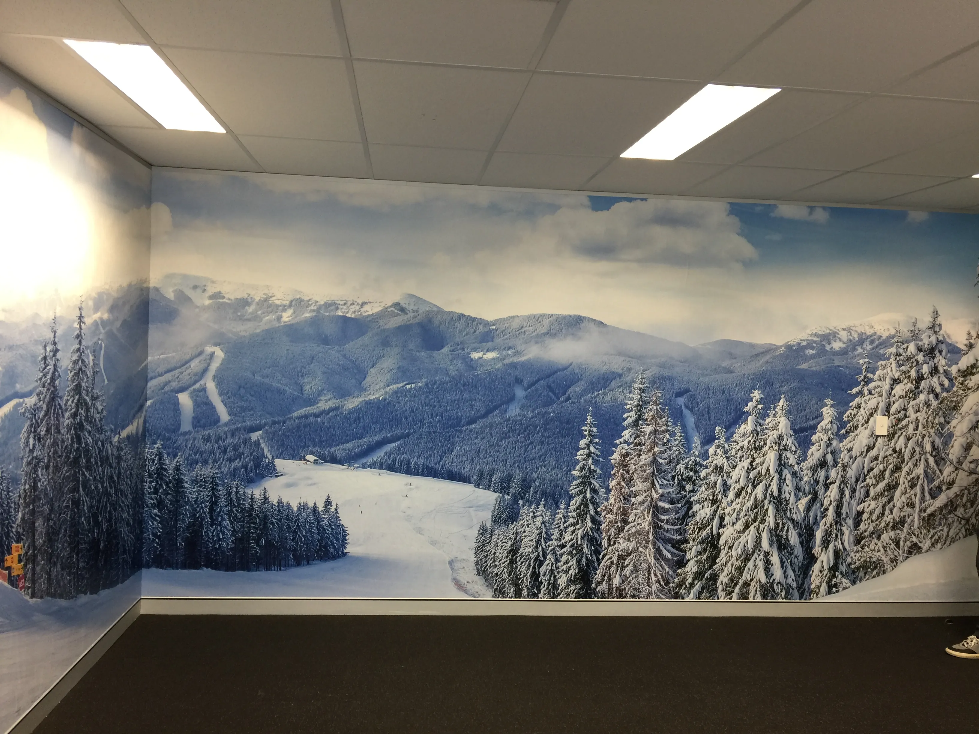 Wallpaper mural with winter scene in the office of a start-up company