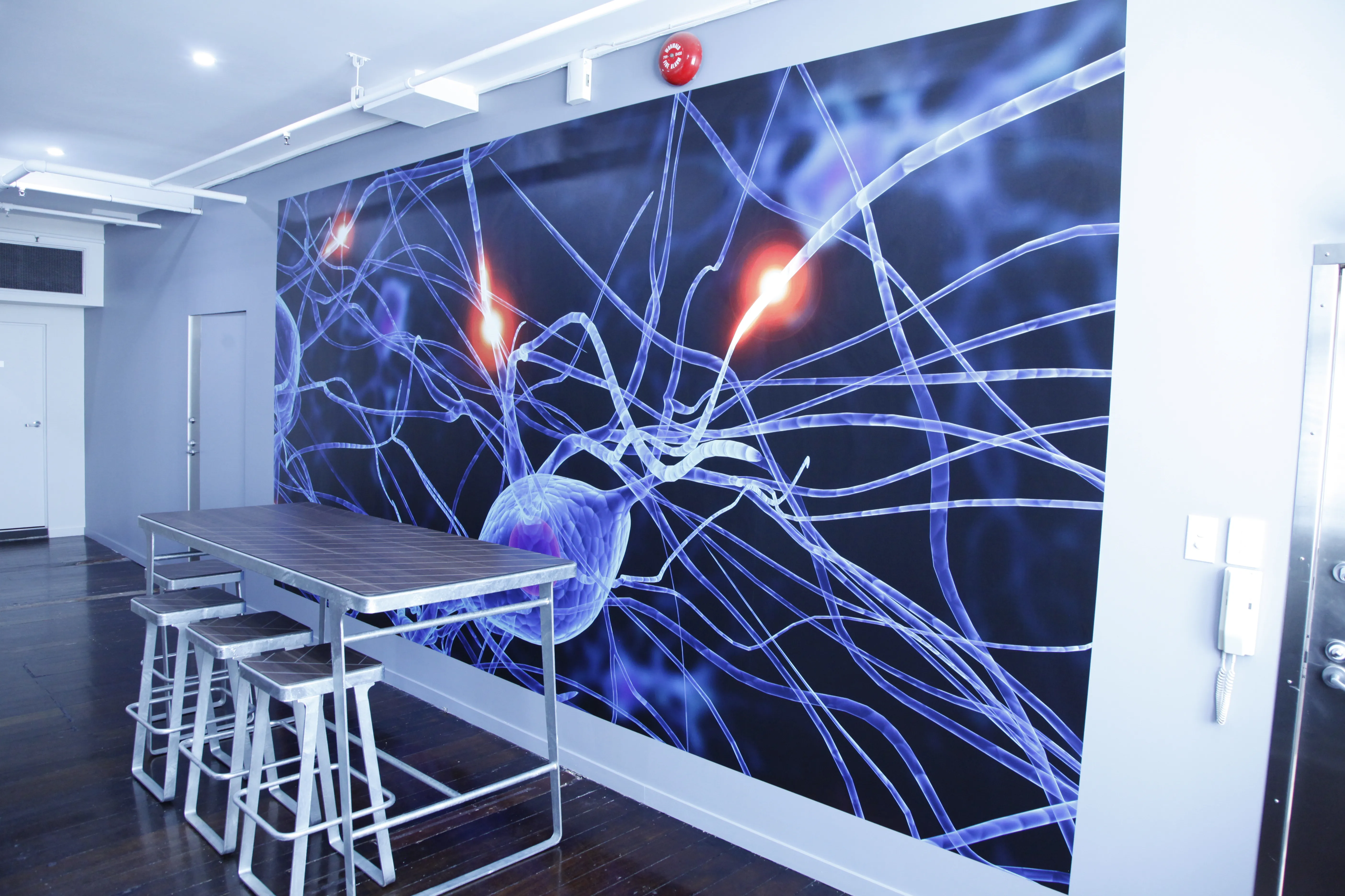 Custom wallpaper with illustration of brain synapses for lunch room in creative office