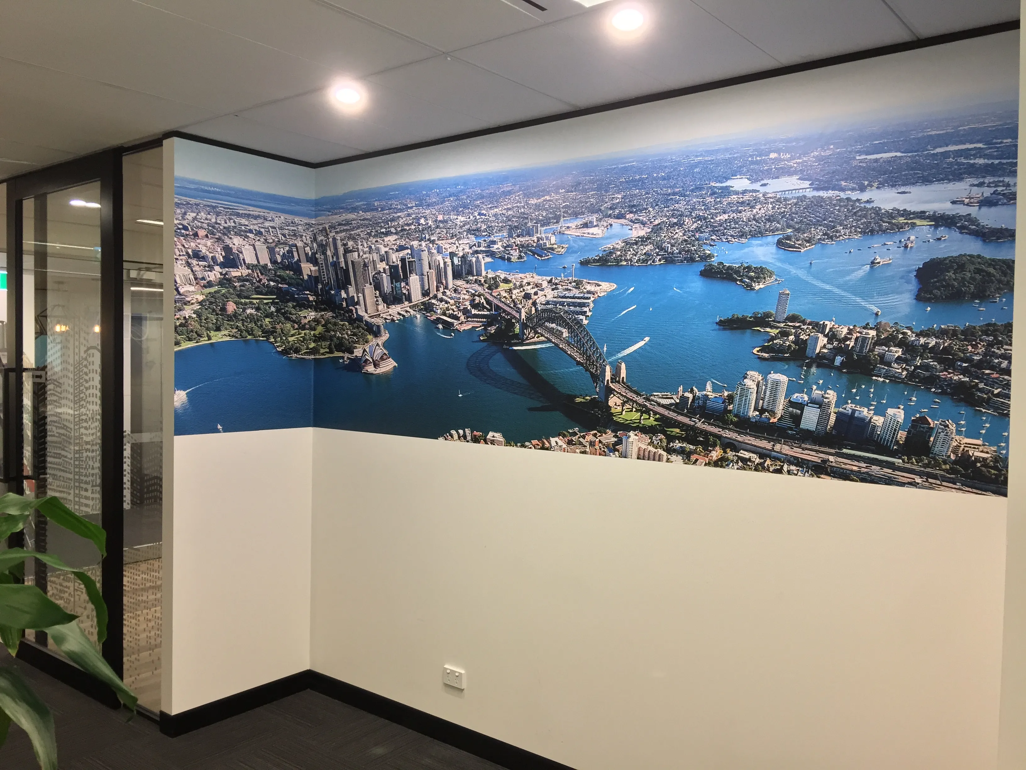 Sydney panorama wallpaper mural in environmental office
